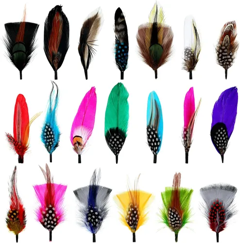 20 plumas para sombrero, plumas surtidas para sombreros, accesorios coloridos de plumas reales para hombres y mujeres (estilo mixto)