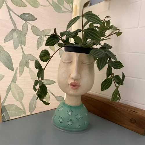 Miniatura 5 de DiliComing Macetas de Cara de Resina - Maceta de 8 Pulgadas para Interiores y Exteriores con Orificio de Drenaje para Plantas Suculentas, Decoración
