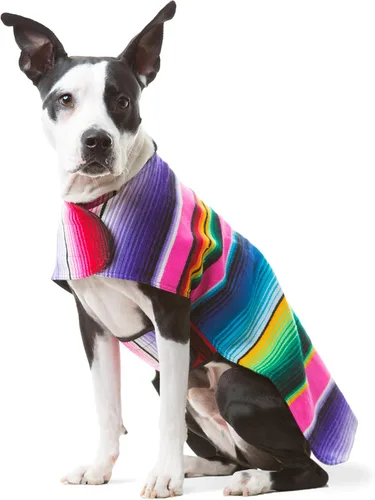 Miniatura 8 de Poncho de perro hecho a mano de Authentic Mexican Blanket; ropa para perros, suéter, abrigo, xxL, Azul