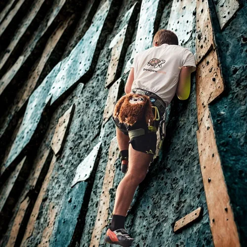 Miniatura 5 de Bonita bolsa de tiza para levantar, gimnasio y escalada en roca, cubo grande de tiza con cinturón ajustable, bolsa de polvo de agarre para boulder