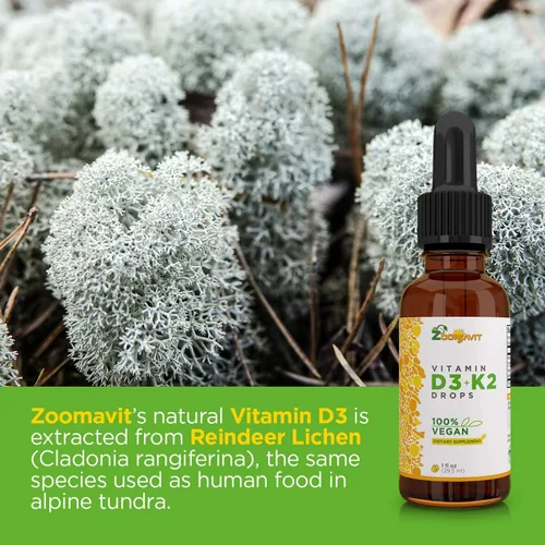 Miniatura 6 de Gotas líquidas veganas Vitamina D3 K2 (MK7) – Vitamina D líquida 100% a base de plantas mejorada con aceite de coco para una máxima absorción – 1