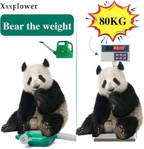 Miniatura 4 de XXXFLOWER Regadera Verde de 1.5 Galones para Jardín Exterior, Plantas de Flores, Latas de Agua Ligeras de 6 L con Boquilla Desmontable, Maceta