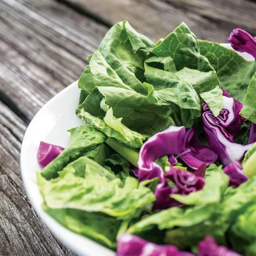 Miniatura 3 de Park Seed Batavian Full Heart Endive & Chicory Lechuga Mezcla de Semillas - Variedad nutritiva de Escarole con corazones blanqueados cremosos, ideal
