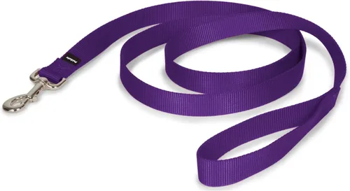 Miniatura 8 de PetSafe Correa de nailon para perro fuerte, duradera, estilo tradicional con broche de perno fácil de usar para perros pequeños, medianos y grandes