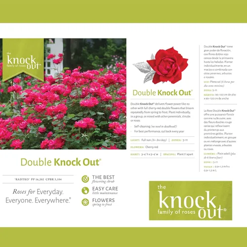 Miniatura 6 de Knockout Rosa doble, 1 galón, rojo cereza
