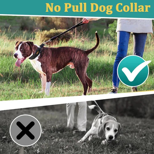Miniatura 6 de Mayerzon Martingale - Collar antitirones para perros grandes y medianos, Pitbull Pastor alemán rottweilers, patentado reflectante anti tirones, Negro