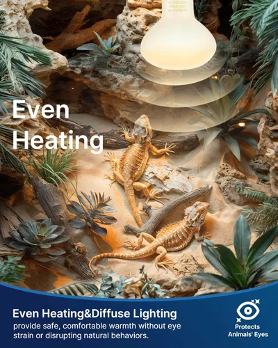 Miniatura 4 de FLSNT Paquete de 2 bombillas de lámpara de calor para reptiles, 75 W para anfibios, dragón barbudo, lagarto, tortuga, gecko
