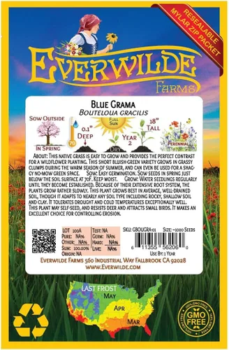 Miniatura 2 de Everwilde Farms - 1000 semillas de césped nativo Blue Grama - Paquete de semillas jumbo Gold Vault