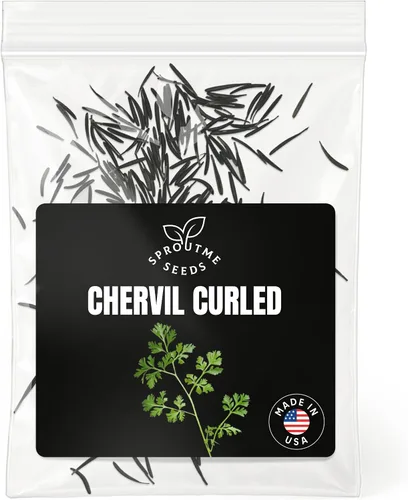 Miniatura 25 de Semillas de romero – Más de 100 personas sin OMG herencia cultivadas en Estados Unidos – Hierba culinaria aromática y hoja perenne fragante, apta