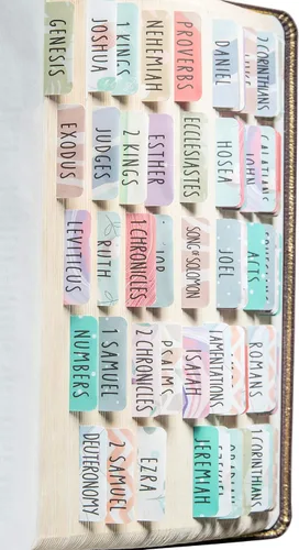 Miniatura 13 de Pestañas para la Biblia laminadas DiverseBee con resúmenes de libros (impresión grande, fácil de leer), pestañas personalizadas para diario bíblico