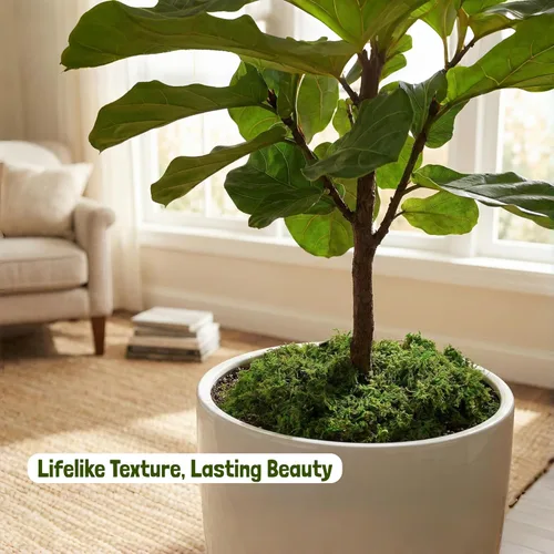 Miniatura 4 de USMOLA Musgo verde para manualidades, musgo falso de 4 onzas para plantas de interior, terrarios, jardines de hadas y exhibiciones de mesa, perfecto
