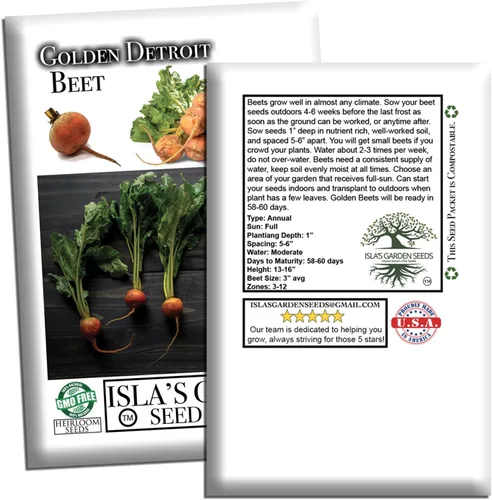 Miniatura 7 de Semillas de remolacha Golden Detroit (Beta vulgaris) – Más de 100 semillas de reliquia sin OMG de Isla's Garden Seeds, remolacha dorada dulce