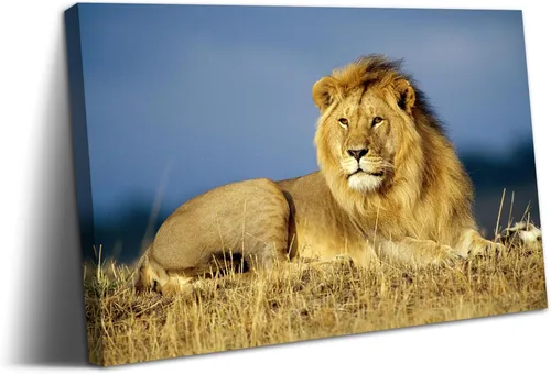 Miniatura 31 de YONICA Lienzo de pared de animales de la naturaleza, pintura de pared de águila, impresión artística de águila calva voladora impresa en lienzo