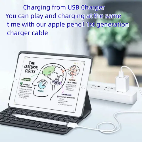 Miniatura 4 de Diseño para cargador de lápiz Apple, adaptador de Apple Pencil de 1 pie/1 paquete, cargador iPencil de carga rápida compatible con Apple Pencil