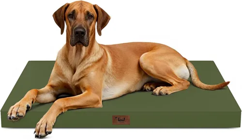 Miniatura 78 de Cama ortopédica de felpa para perros y cachorros medianos, camas impermeables para perros de 30 x 20 pulgadas con funda extraíble lavable, tapete