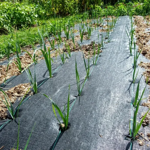 Miniatura 7 de Tela Barrera contra Malezas para Paisajismo Tela Resistente 3 pies x 100 pies Tela para Jardín Alfombra contra Malezas Cubierta de Suelo, Tela