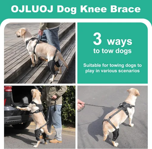 Miniatura 2 de Soporte de cadera para perro para rehabilitación muscular con cuerda de tracción, diseño ajustable de cuatro extremidades para aliviar el dolor