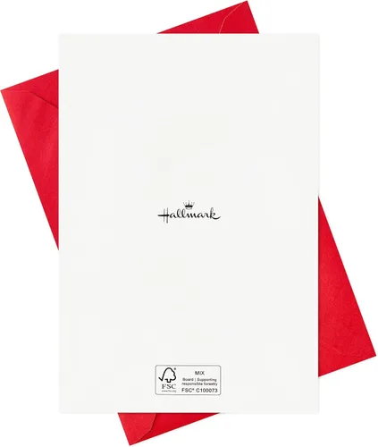 Miniatura 9 de Hallmark Surtido de tarjetas de Navidad religiosas en caja, estrella de maravilla (36 tarjetas y sobres) rosa, azul, amarillo, verde, naranja