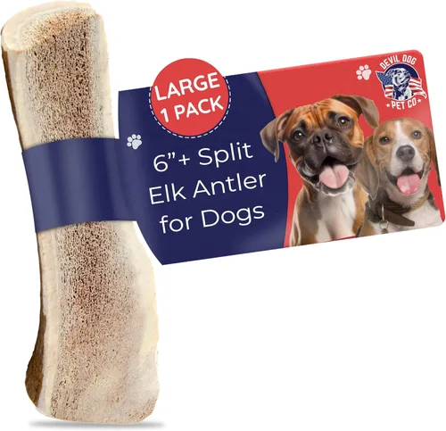 Miniatura 13 de Devil Dog Pet Co. Cornamentas de alce para perros, extra grandes 17,8 cm+, 1 paquete, grado A, masticable duradero para masticadores agresivos, asta