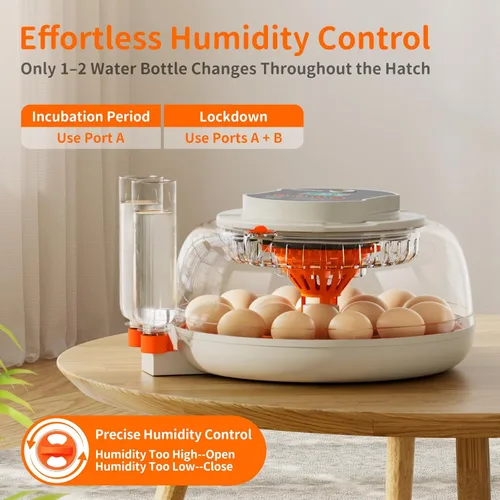 Miniatura 5 de APDOE Incubadoras de huevos para incubar huevos, control de temperatura y humedad, giro automático de huevos, vela de huevos, botella de agua