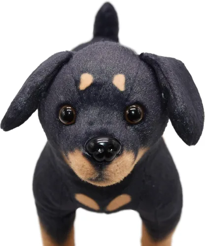 Miniatura 2 de BABOLI Rottweiler realista animal de peluche extremadamente realista Rottie perro juguete negro cachorro muñeca para niños regalo o colección