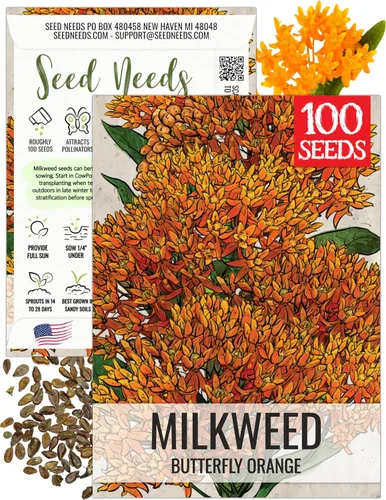 Miniatura 18 de Seed Needs Semillas de algodoncillo naranja para plantar malezas de mariposa, semillas de flores perennes sin tratar para cultivar un jardín
