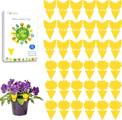 Miniatura 17 de Garsum Trampa para Moscas de la Fruta Amarilla Pegajosa 18 piezas Matamoscas de Hongos para Plantas de Interior y Exterior Atrapador de Insectos