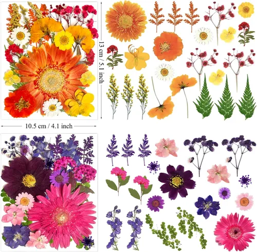 Miniatura 6 de 90 piezas de flores secas prensadas grandes para moldes de resina, flores naturales reales surtidas, pétalos de hojas para manualidades, joyas