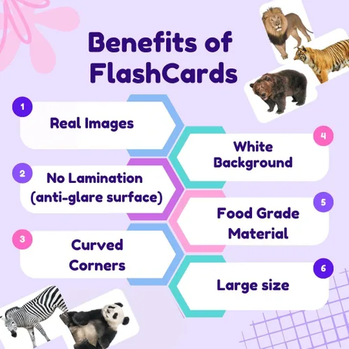 Miniatura 7 de Hungry Brain Tarjetas didácticas de números para niños pequeños de 1 a 6 años Tarjetas de aprendizaje de números educativos Montessori para bebés