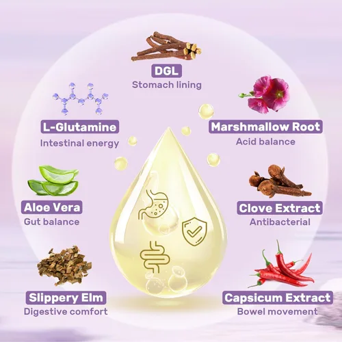 Miniatura 3 de Extracto liposomal de raíz de regaliz DGL – Regaliz deglicirricinado con L-glutamina, malvavisco, clavo y olmo resbaladizo – digestivo