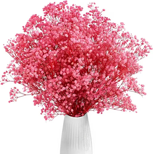 Miniatura 10 de Flores secas para el aliento del bebé, flores naturales secas de 17 pulgadas, a granel con 3000 brotes, gypsophila seca real para bodas, fiestas