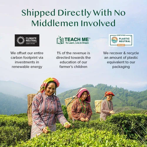 Miniatura 9 de VAHDAM, Paquete surtido de té Chai (6 deliciosos sabores, 36 bolsas de té piramidales ecológicas) con cafeína, sin gluten, sin OMG, mezclas de té