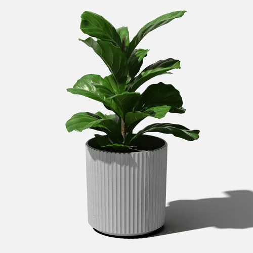 Miniatura 8 de Veradek Serie Demi Maceta redonda para porche, patio, jardín trasero Material duradero de plástico-hormigón Decoración moderna para plantas Gris