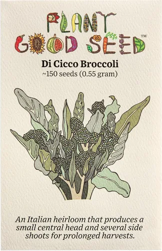 Miniatura 7 de Plant Good Seed Semillas de brócoli Marathon F1 para plantar: vegetales de alto rendimiento, cabezas verdes pesadas, paquete de 75 semillas