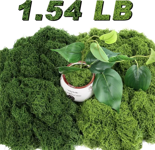 Miniatura 8 de Jollidecor Musgo artificial para plantas en maceta, 7.06 onzas de musgo verde falso para manualidades, relleno de maceta de musgo decorativo