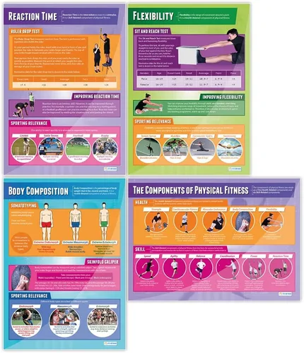 Miniatura 2 de Daydream Education Componentes de los pósteres de fitness físico, juego de 12, extra grandes, 33 x 23.5 pulgadas, papel brillante, decoración