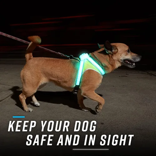 Miniatura 2 de Noxgear lighthound Revolucionario iluminado y reflectante arnés para perros incluso multicoloreado fibra óptica LED
