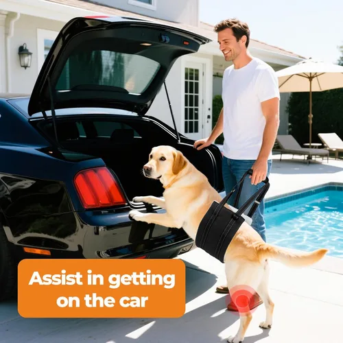 Miniatura 3 de Arnés de elevación para perro, ajustable y cómodo arnés para perro con asa para rodilla de perro grande para desgarro de ACL, patas traseras