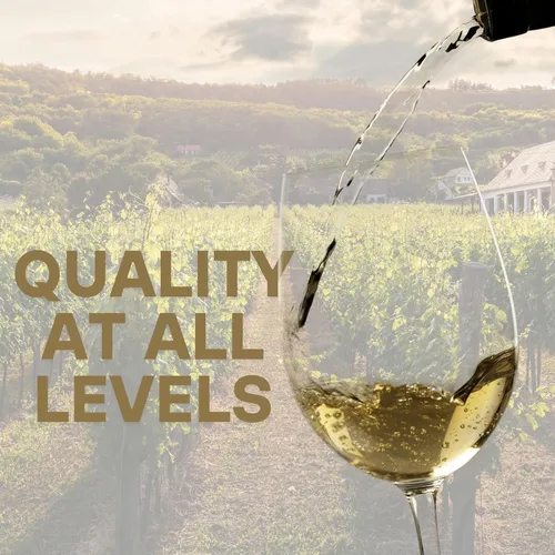 Miniatura 4 de Kit de recetas de vino Sauvignon Blanc de Master Vintner™ Reserva del enólogo™, hace 6 galones