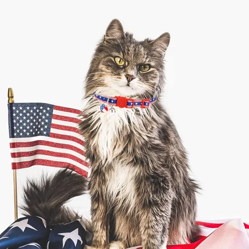 Miniatura 7 de PUPTECK Collares para gatos con campana para el Día de la Independencia con la bandera estadounidense, collar azul para mascotas, paquete de 3