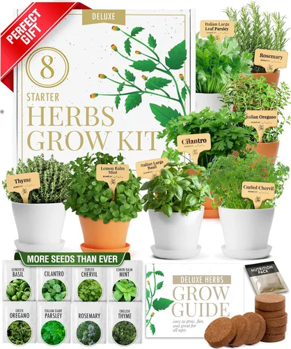 HOME GROWN Kit de hierbas de regalo: juego de 8 semillas de hierbas con albahaca, cilantro, menta y más, kit completo de cultivo interior para