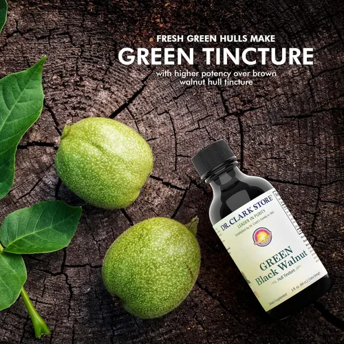 Miniatura 8 de Tintura Original de Cáscara de Nuez Negra Verde (Fuerza Extra) por Dr. Hulda Clark (2 fl oz (paquete de 1))