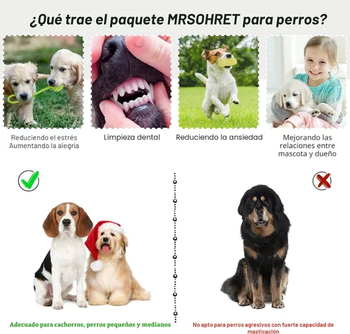 Miniatura 3 de MRSOHRET 20 Piezas Juguetes Masticables para Cachorros en Dentición, Juguetes Masticables para Perros con Juguete de Cuerda, Cepillo de Dientes