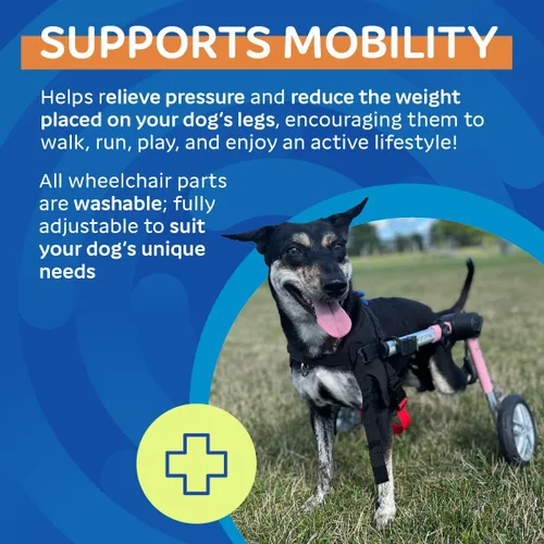 Miniatura 5 de Walkin' Wheels Silla de ruedas para perros, para perros medianos de 26 a 49 libras, aprobada por veterinarios, silla de ruedas para perros