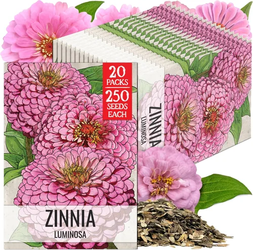 Miniatura 38 de Seed Needs California Giants - Semillas de zinnia – 250 semillas tradicionales para plantar Zinnia elegans – Cultiva flores anuales polinizadas