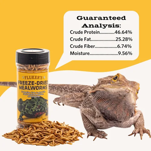 Miniatura 5 de Fluker's Insectos liofilizados, nutrientes, gusanos de harina empaquetados, ideal para lagartos, reptiles, pájaros, peces, erizos, 1.7 onzas