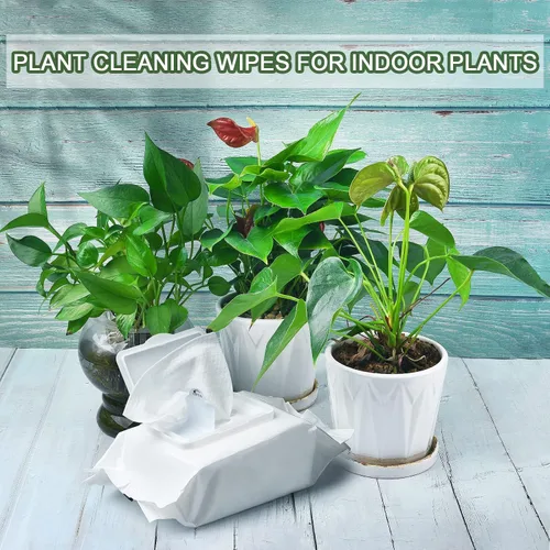 Miniatura 4 de Leopong Toallitas de limpieza de plantas, limpiador de hojas para plantas de interior, 80 toallitas