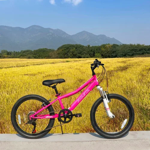 Miniatura 4 de AVASTA Govet - Bicicleta de montaña para niños de 6 a 12 años de edad, con horquilla de suspensión, transmisión de 6 velocidades, varios