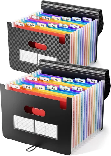 ABC life Organizador de archivos de acordeón de 12 bolsillos, organizador mensual de recibos, carpetas de archivos expansibles con pestañas