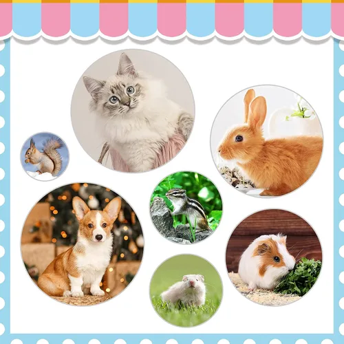 Miniatura 8 de KALAMANDA - Kit de aseo para conejo, cepillo para quitar uñas con cortaúñas de conejo, recortadores de uñas de conejo con peines para mascotas